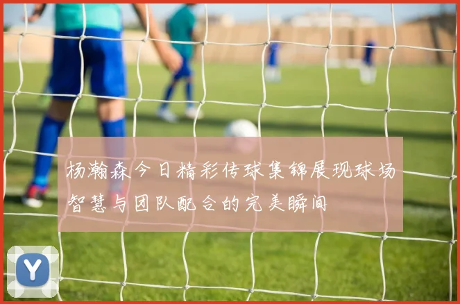 杨瀚森今日精彩传球集锦展现球场智慧与团队配合的完美瞬间