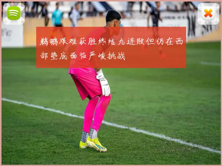 鹈鹕艰难获胜终结九连败但仍在西部垫底面临严峻挑战